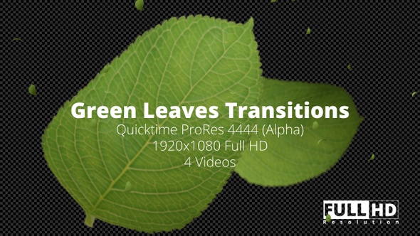 Green Leaves Transitions HD