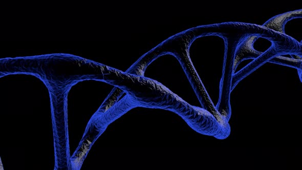 DNA Gene molecule covered in blue and black color with black background and particles rotates