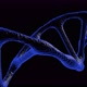 DNA Gene molecule covered in blue and black color with black background and particles rotates - VideoHive Item for Sale