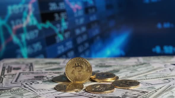 Bitcoin Coins Against the Backdrop of Changing Stock Exchange Rates Police Light