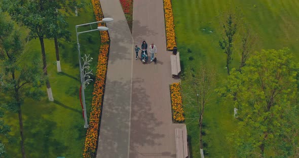 Family with a Son in a Wheelchair Walks in the Park. Aerial View Video From Copter. Top View