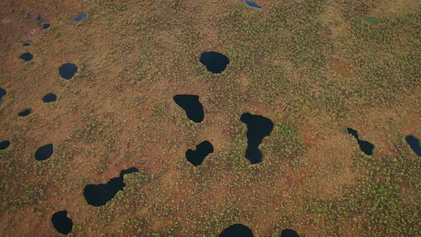 Aerial Top View of Huge Swampland with Puddles and Plants on It Surface