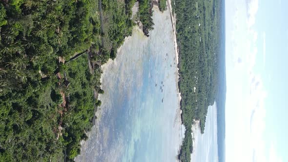 Zanzibar Tanzania  Vertical Video of the Ocean Near the Coast Slow Motion