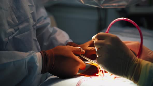 Hands of a doctor performing an operation with medical tool