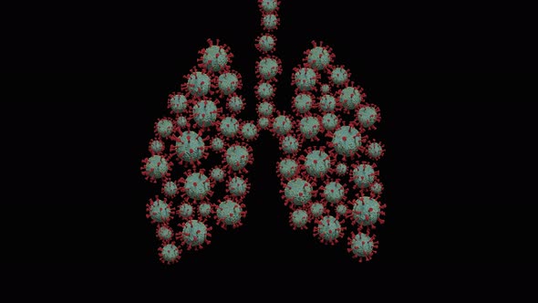 An Image of a Group of Moving Coronaviruses in a Form of Lungs on a Transparent Background