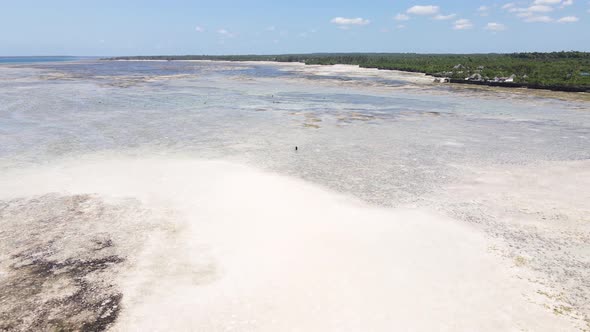 Ocean Low Tide Near the Coast of Zanzibar Island Tanzania