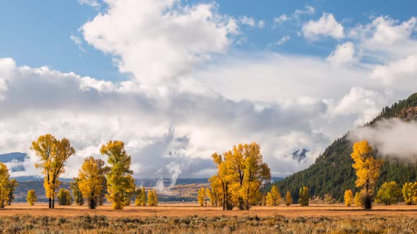 Time lapse of low clouds and trees during Fall