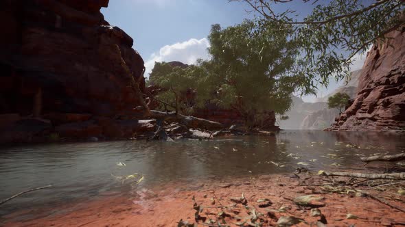 Colorado River with Red Stones and Trees