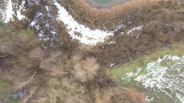 Birds Eye View Drone Shot of a Forest with Some Snow on the Ground