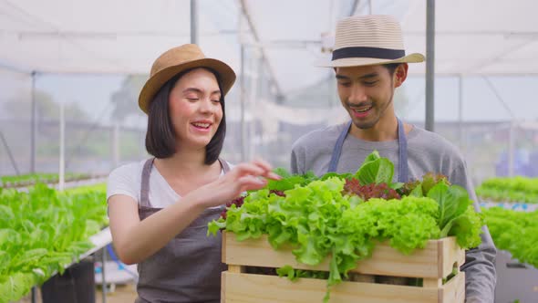 Asian couple farmers working in vegetables hydroponic farm with happiness. Healthy food business,