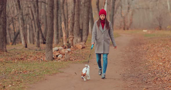 Young Beautiful Woman Walks in the Park with a Dog