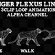Line Tiger 3Clip Loop Plexus - VideoHive Item for Sale