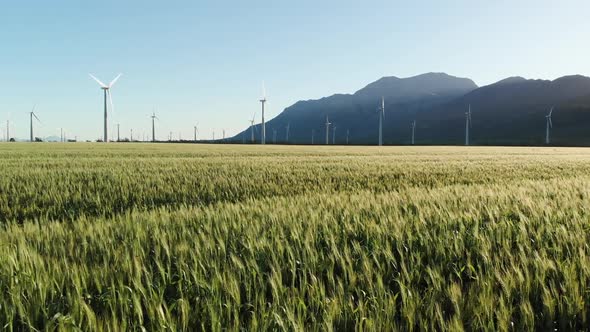 General view of wind turbines in countryside landscape with cloudless sky