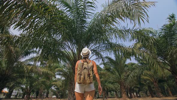 Woman Tourist with Plait Walks Looking Around at Growing Young Trees with Lush Leaves at Oil Palm