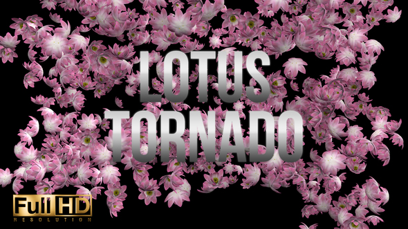 Lotus Tornado
