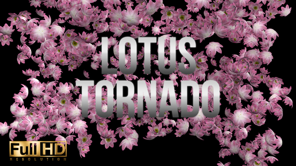 Lotus Tornado alt