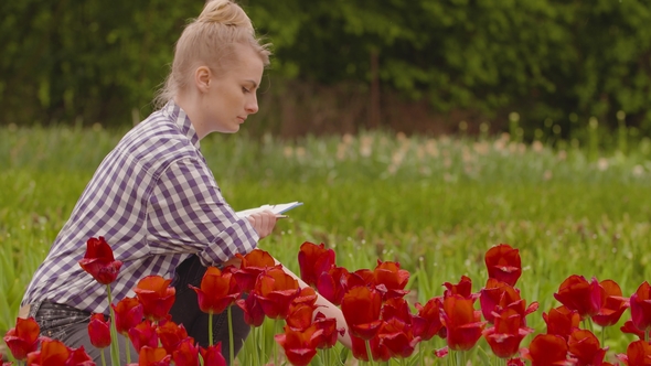 Female Researcher Walking While Examining Tulips At Field