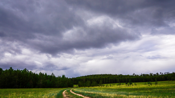 The Movement of Clouds in the Forest. Timelapse