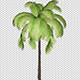 The Growing Palm Tree - VideoHive Item for Sale