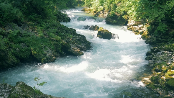 Roaring Rifts of a Rocky Canyon Brook