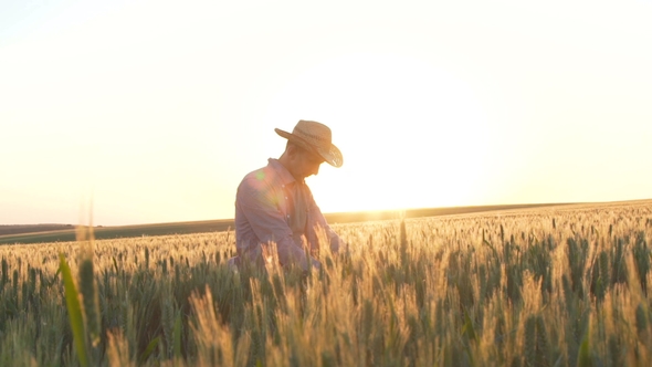 Young Farmer at Sunset in the Field