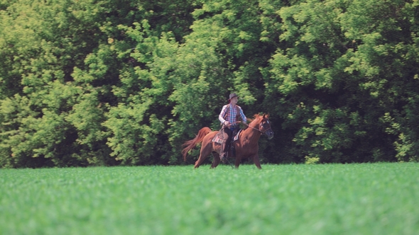 Adult Man Rider Riding a Horse By Gallop on the Field