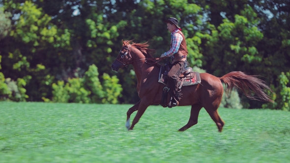 Cowboy Rider Riding a Horse By Gallop on the Field