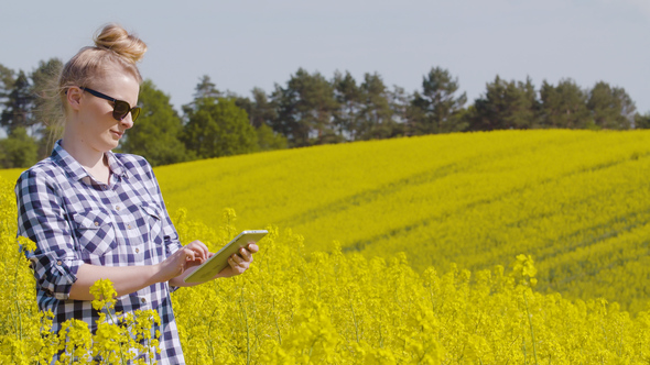 Farmer Touching Screen Of Digital Tablet At Rapeseed Field