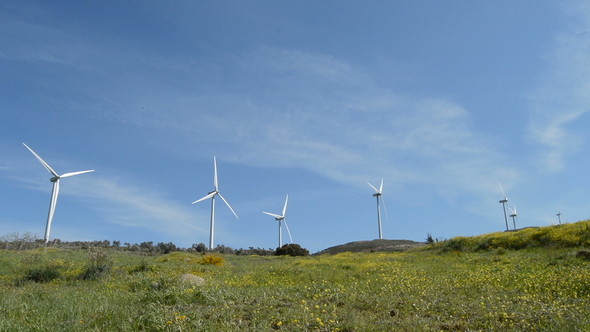 Wind Turbines of Renewable Energy