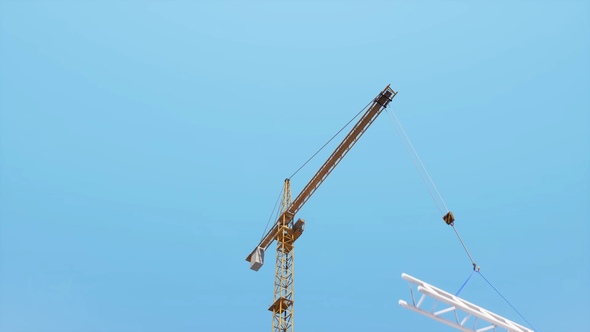 Crane