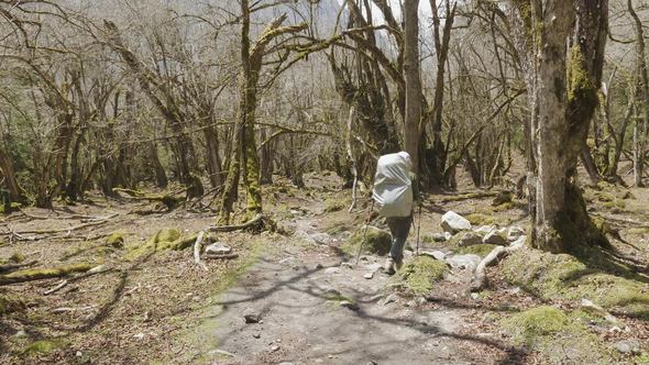 Girl Walking in Mysterious Forest Among the Mountains of Nepal.