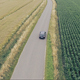 Aerial View of Black Car Driving Through Fields - VideoHive Item for Sale