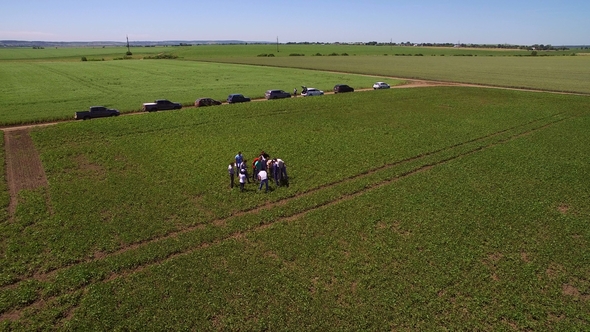 Flying Over Group of Scientists and Agronomists Examine Soybeans in the Field