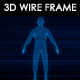 Male 3D Wire Frame - VideoHive Item for Sale