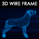 Dog 3D Wire Frame - VideoHive Item for Sale