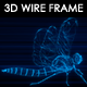 Dragonfly 3D Wire Frame - VideoHive Item for Sale