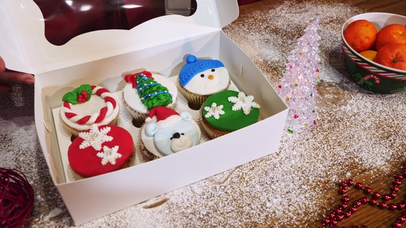 Woman`s Hands Closes Box with Amazing Christmas Cupcakes