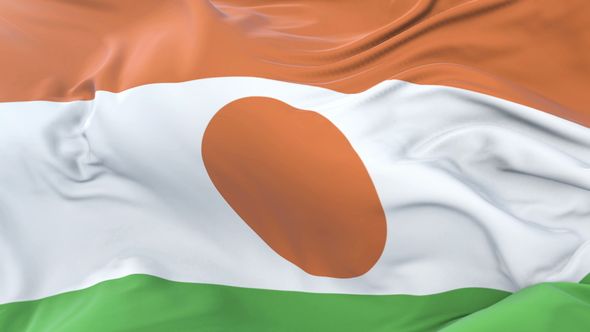 Flag of Niger Waving alt