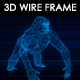 Gorilla 3D Wire Frame - VideoHive Item for Sale