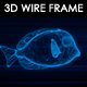 Fish 3D Wire Frame - VideoHive Item for Sale