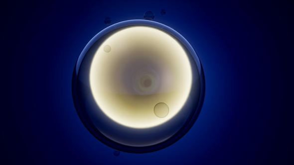 Rotate Cell Division alt