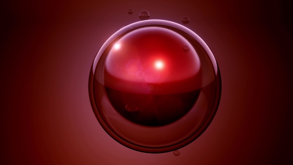 Rotate Cell Division alt