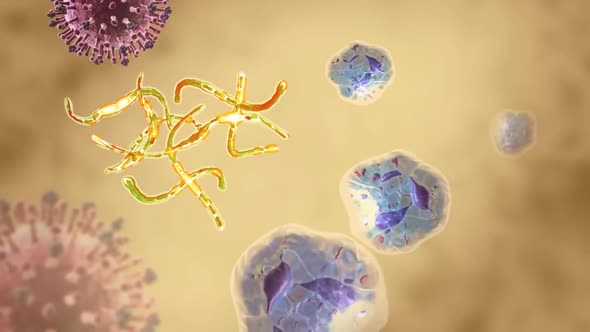 Macrophage attack on cells. 3D Animated Microscopic image