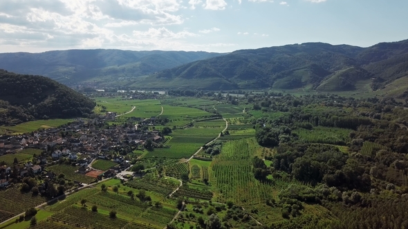 Aerial of Vineyards in Wachau, Austria