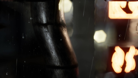 Urban Scene at Rainy Night alt