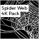 Spider Web Pack - VideoHive Item for Sale