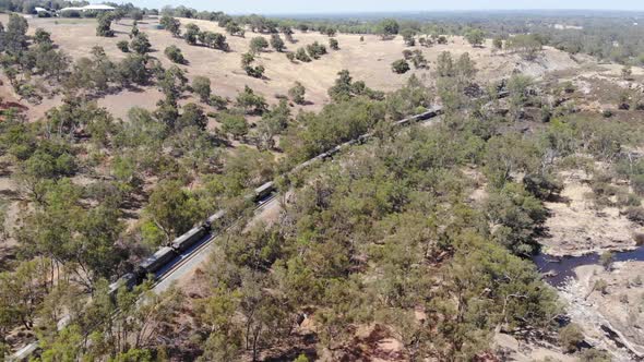 Aerial View of a Forest Train