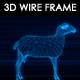 Sheep 3D Wire Frame - VideoHive Item for Sale