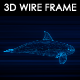 Killer Whale 3D Wire Frame - VideoHive Item for Sale