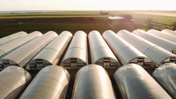 Greenhouses Aerial View